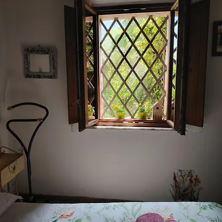 Dolce Dimora Διαμέρισμα Σιένα