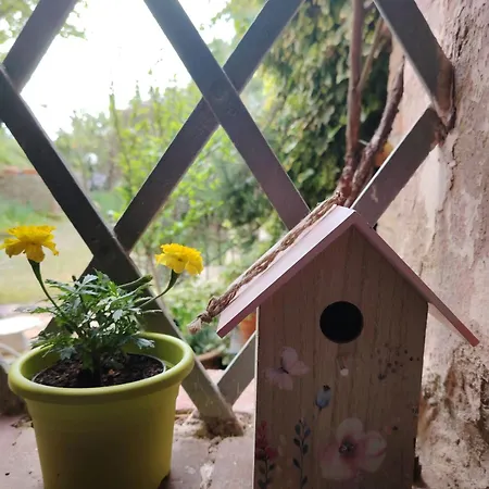 Dolce Dimora * Σιένα