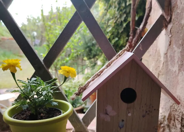 Dolce Dimora * 锡耶纳